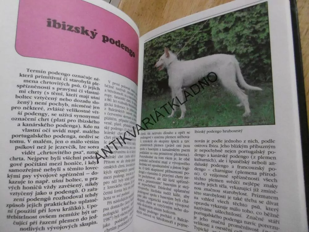 CHRTI, PES, CHOVATEL, STUCHLÝ, CÍSAŘOVSKÝ, **an