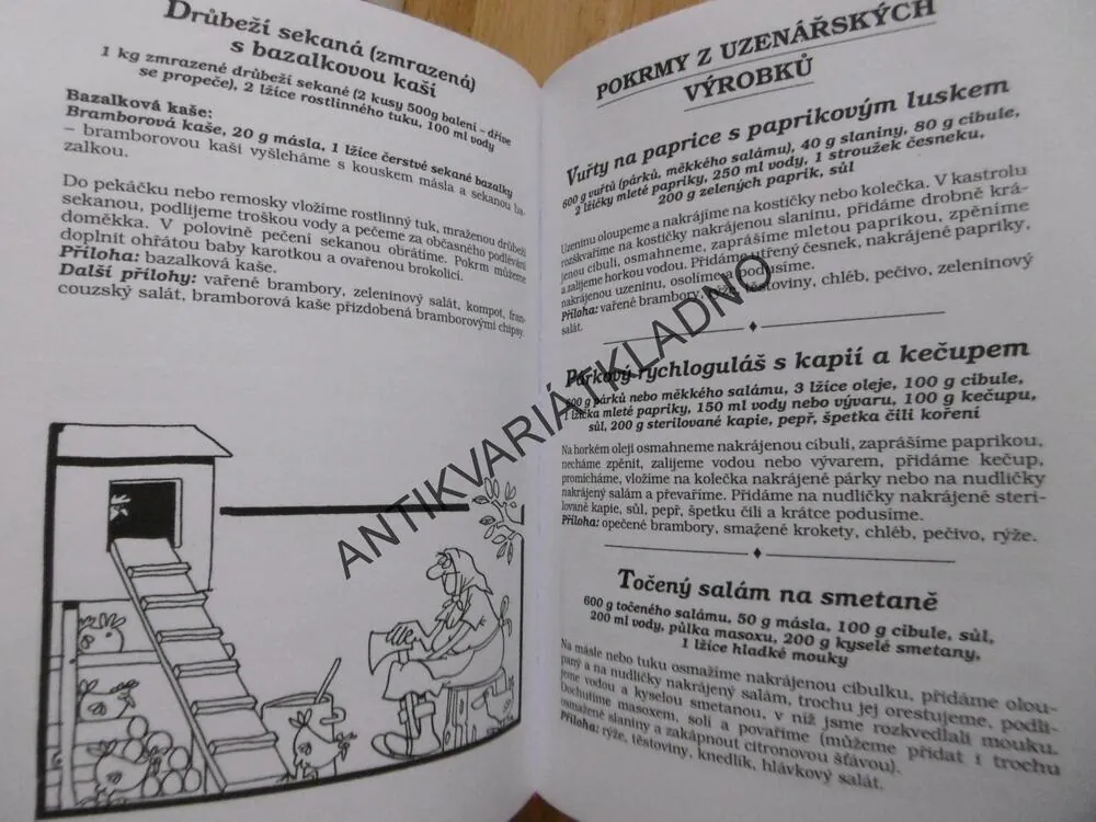 RYCHLÉ POKRMY A LÁKAVÉ POHOŠTĚNÍ, ROUBÍNEK, **an