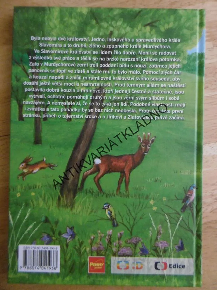 TAJEMSTVÍ SRDCE, ŠÁRKA VÁCHOVÁ, **an
