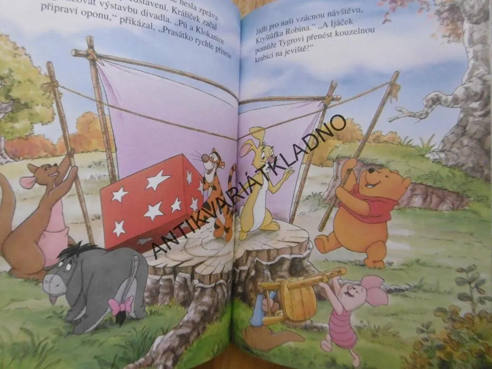 PŘEDSTAVENÍ PRO MEDVÍDEK PÚ, WALT DISNEY, **an