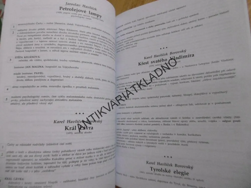 ČTENÁŘSKÝ DENÍK K LITERATUŘE V KOSTCE PRO STŘEDNÍ ŠKOLY, SOCHROVÁ
