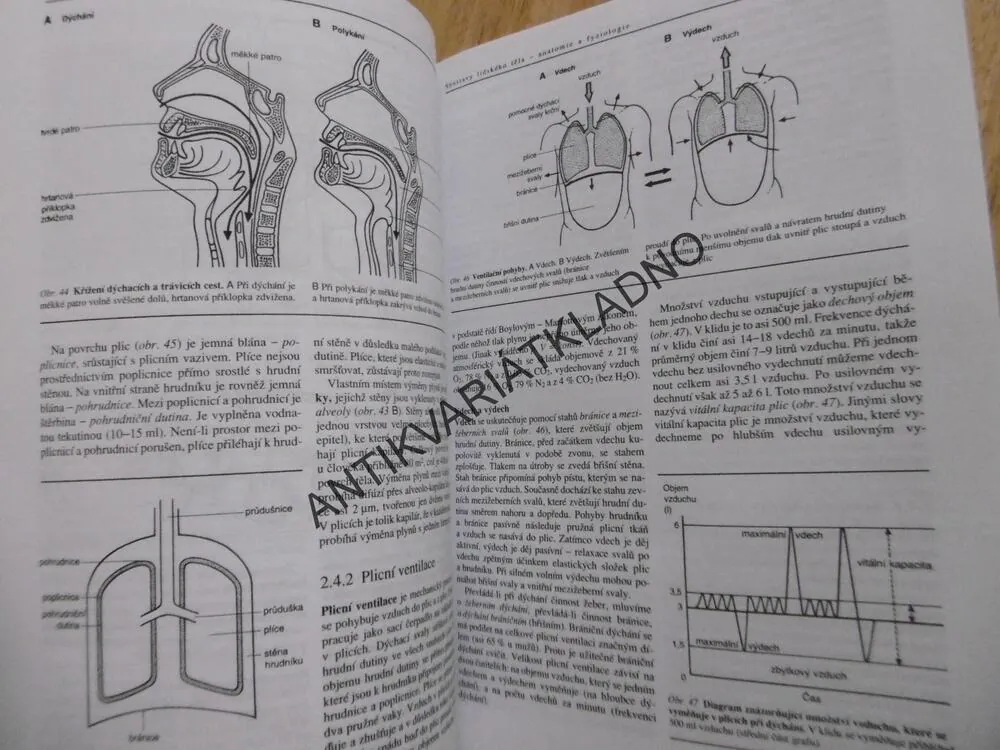 BIOLOGIE ČLOVĚKA, PRO GYMNÁZIA