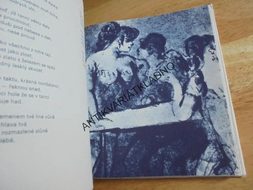 VÍNO SAMOTÁŘOVO, CHARLES BAUDELAIRE