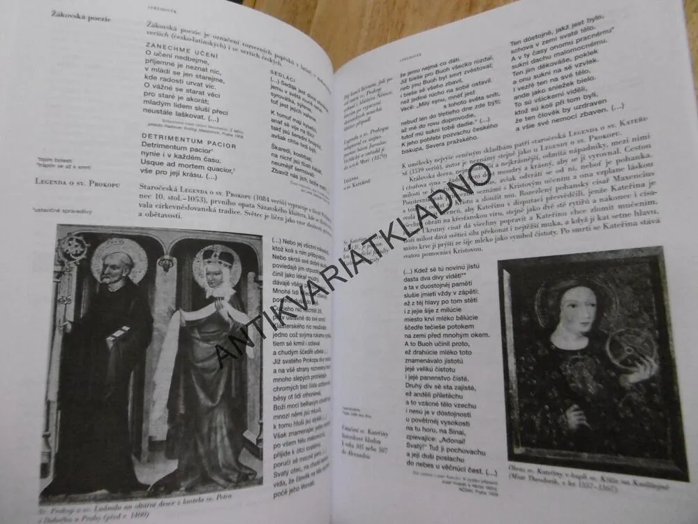 KOUZELNÉ ZRCADLO LITERATURY, JAROSLAV BLAŽKE, 1.,