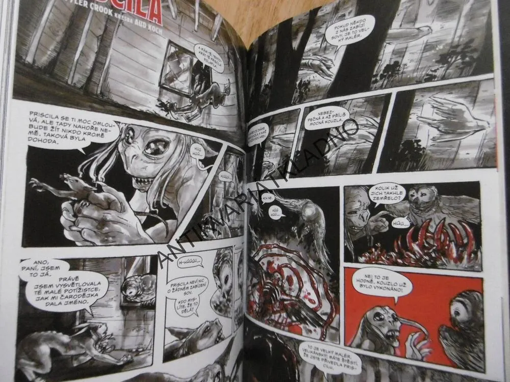 POCHMURNÝ KRAJ, ZNJETVOŘEC, CULLEN BUNN, TYLER CROOK, KOMIKS, **an