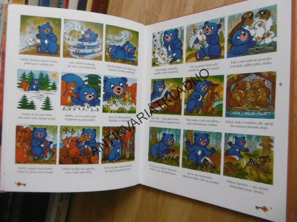 ROK MODRÉHO MEDVĚDA, KATEŘINA LOVIS-MILER, JANA HORYNOVÁ, **an