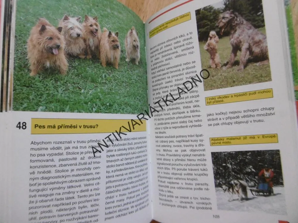 88 RAD CHOVATELŮM PSŮ, CHOVATELSTVÍ, CHOVATEL, PAVEL TRUHLÁŘ, **an