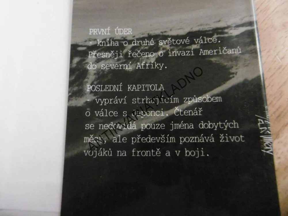 STATEČNÍ MUŽI, ERNTE PYLE