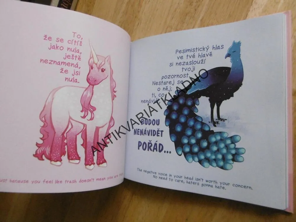 ZVLÁDNEŠ TO..., OKAMŽITÉ POVZBUZENÍ PŘI SMUTKU A OBAVÁCH, KATE ALLAN, **an