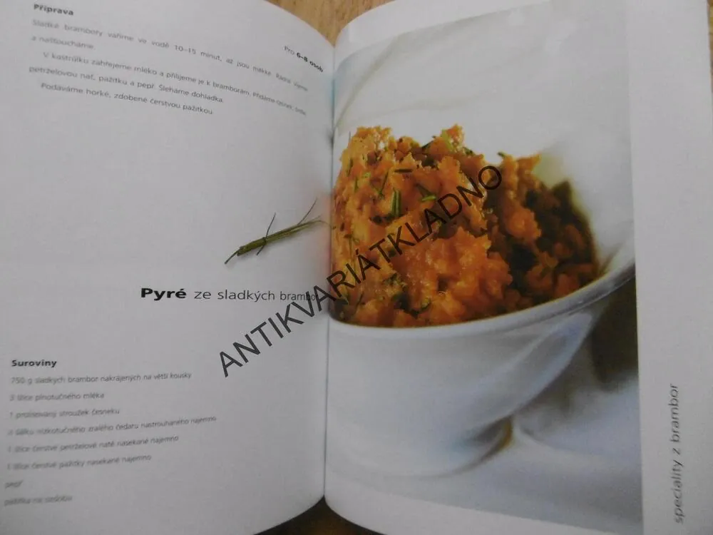 INSPIRACE PRO KAŽDÝ DEN ...SPECIALITY Z BRAMBOR, VAŘÍME A PEČEME S REBEM, **an