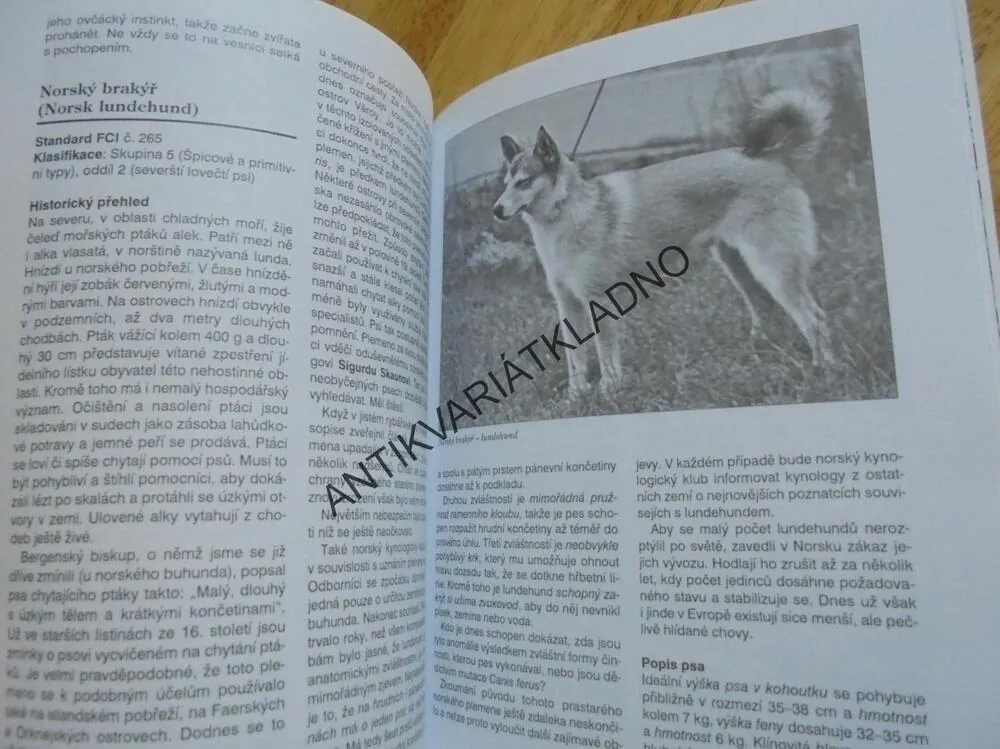 SEVERSKÁ PLEMENA PSŮ, MALAMUT, HASKY, SAMOJED,PES, **an