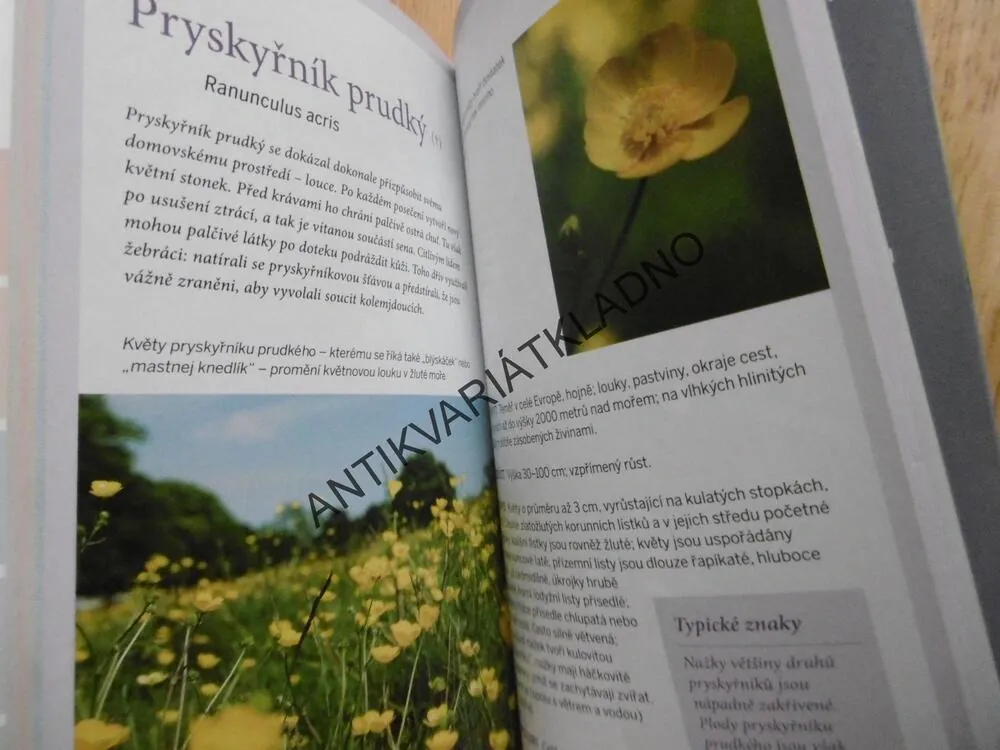 KVETOUCÍ ROSTLINY, PRŮVODCE PŘÍRODOU