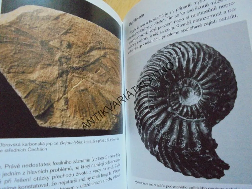 ABECEDA DÁVNÝCH VĚKŮ, BOŘIVOJ ZÁRUBA, PREHISTORIE