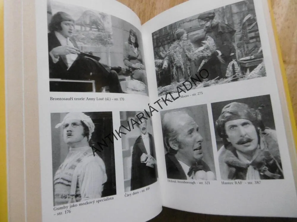 MONTY PYTHON´S FLYING CIRKUS, NIC NEŽ SLOVA, MONTY PYTHOVŮV LÉTAJÍCÍ CIRKUS, CHAPMAN