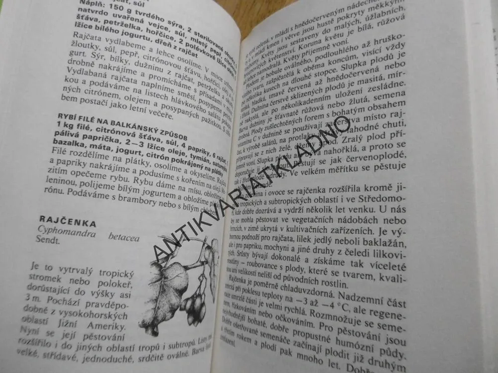 VITAMÍNY Z DOMOVA I Z DALEKA, KUCHAŘKA, RECEPTY,DAGMAR LÁNSKÁ, BOHUMÍR HLAVA, 1982, NEPRAKTA, **an