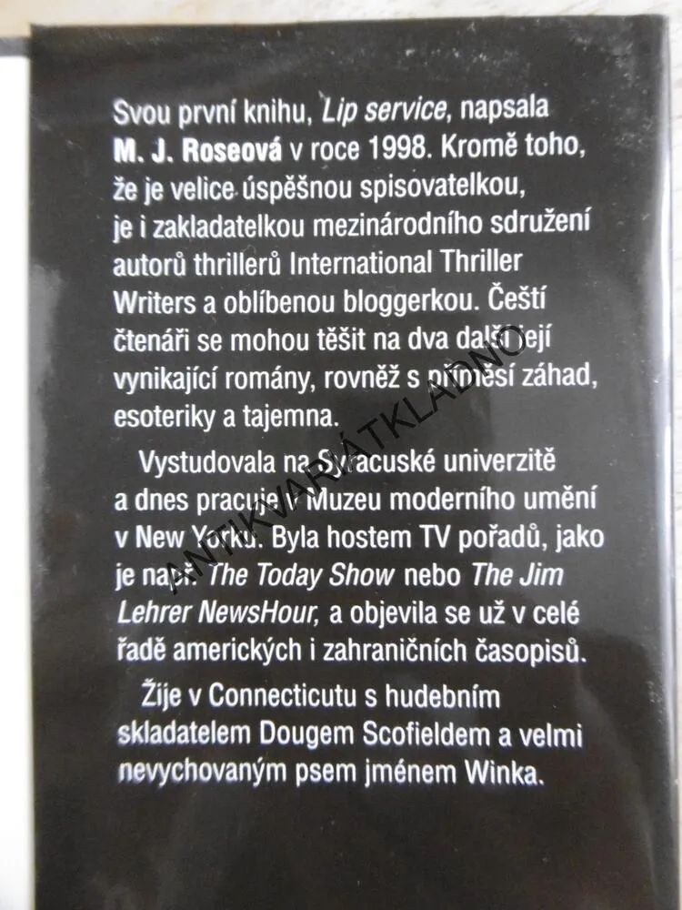 REINKARNOVANÝ, M.J.ROSEOVÁ, KAMENY MINULÝCH ŽIVOTŮ