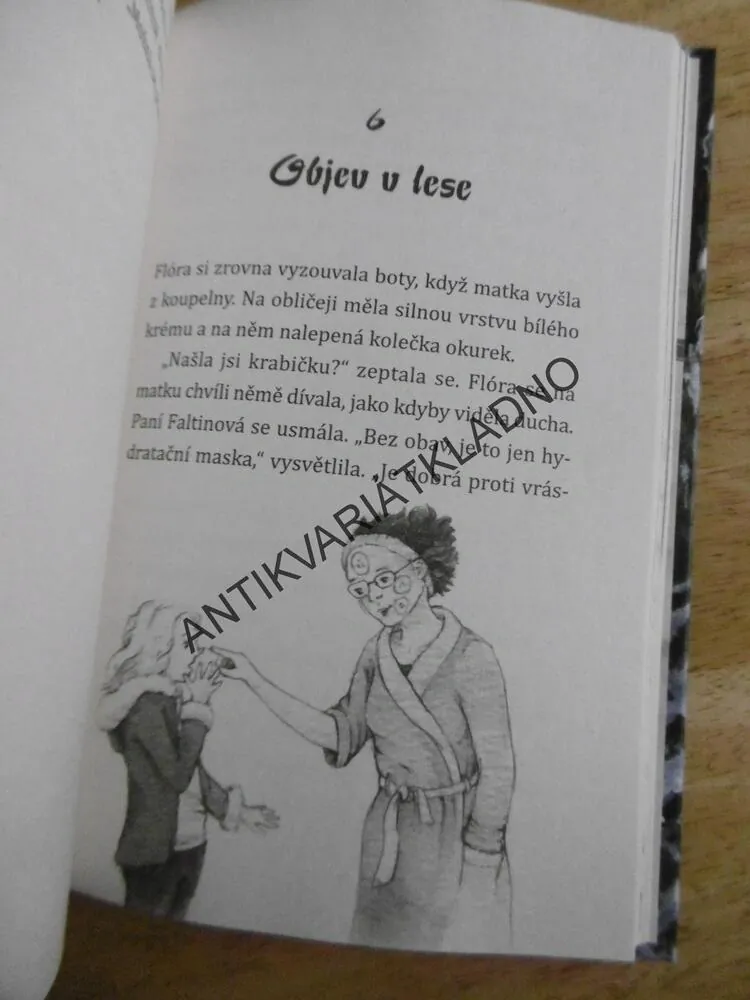 SOVÍ KOUZLO, FLÓRA A VÁNOČNÍ ZÁZRAK, INA BRANDTOVÁ, **an