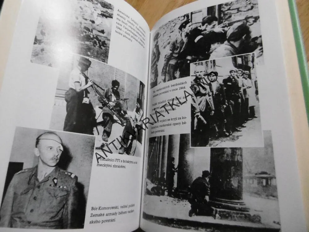 ZAPALTE EVROPU! PARTYZÁNI V EVROPĚ ZA 2.SVĚTOVÉ VÁLKY, KENNETH MACKSEY, **an