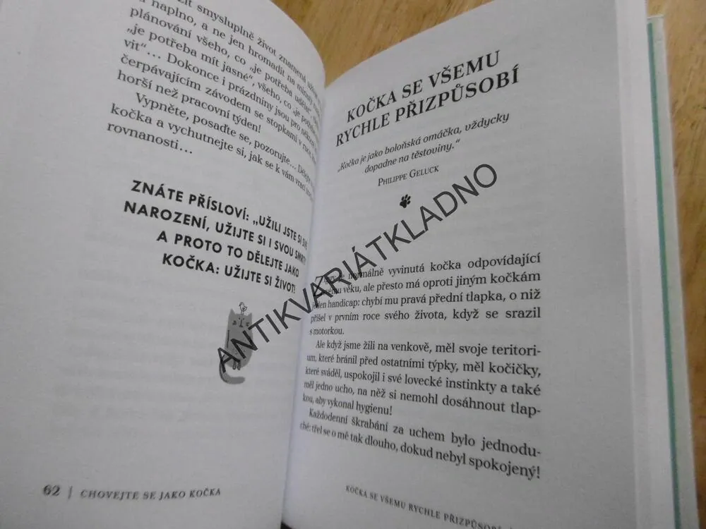 CHOVEJTE SE JAKO KOČKA, STEPHANE GARNIER,