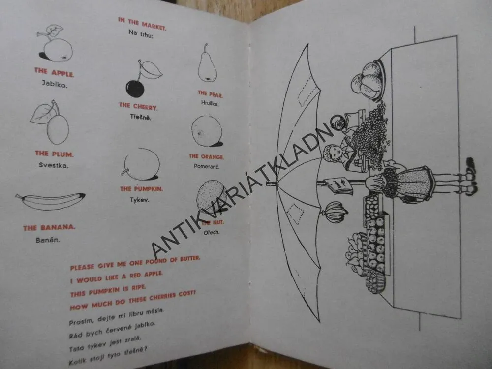 PRVNÍ KROKY DO ANGLIČTINY, MARHAN