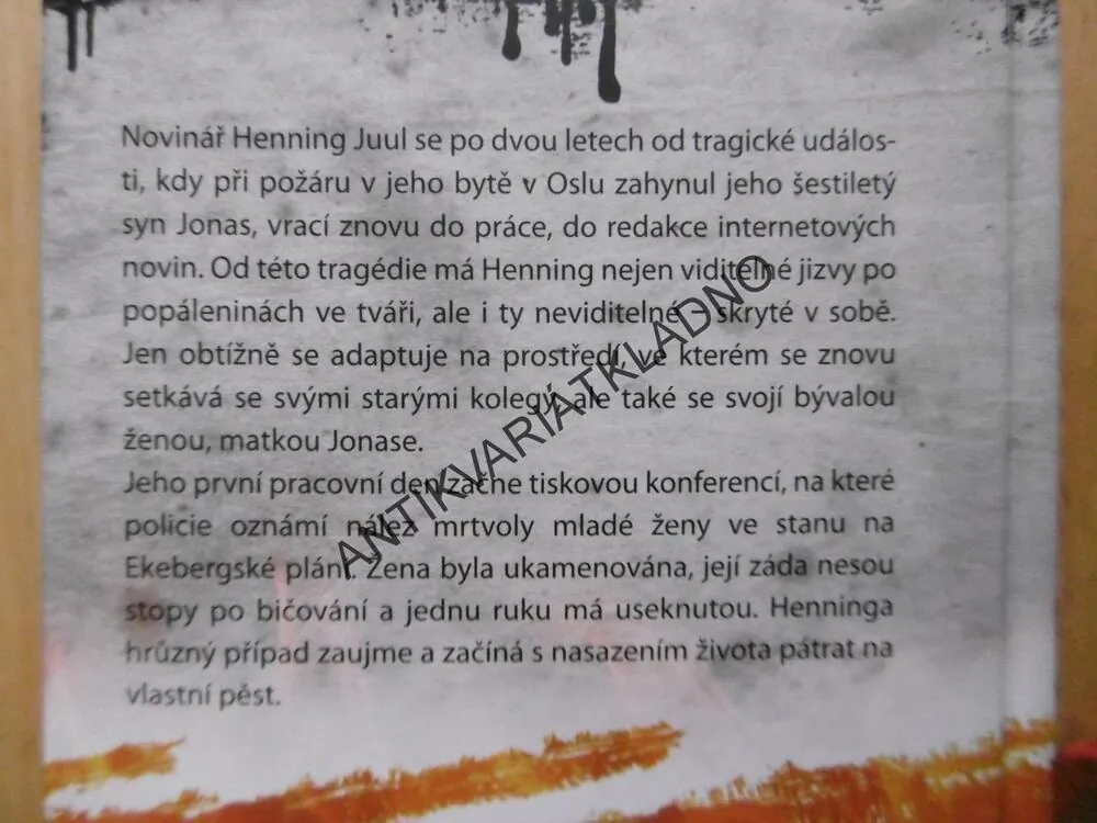 KAMENNÝ DÉŠŤ, THOMAS ENGER, **an