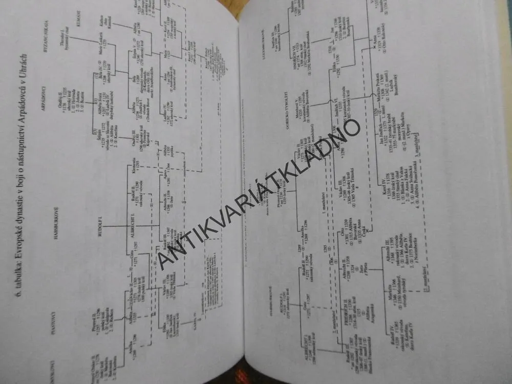 KRÁLOVSTVÍ JAKO VĚNO, REINHARD LEBE, **an