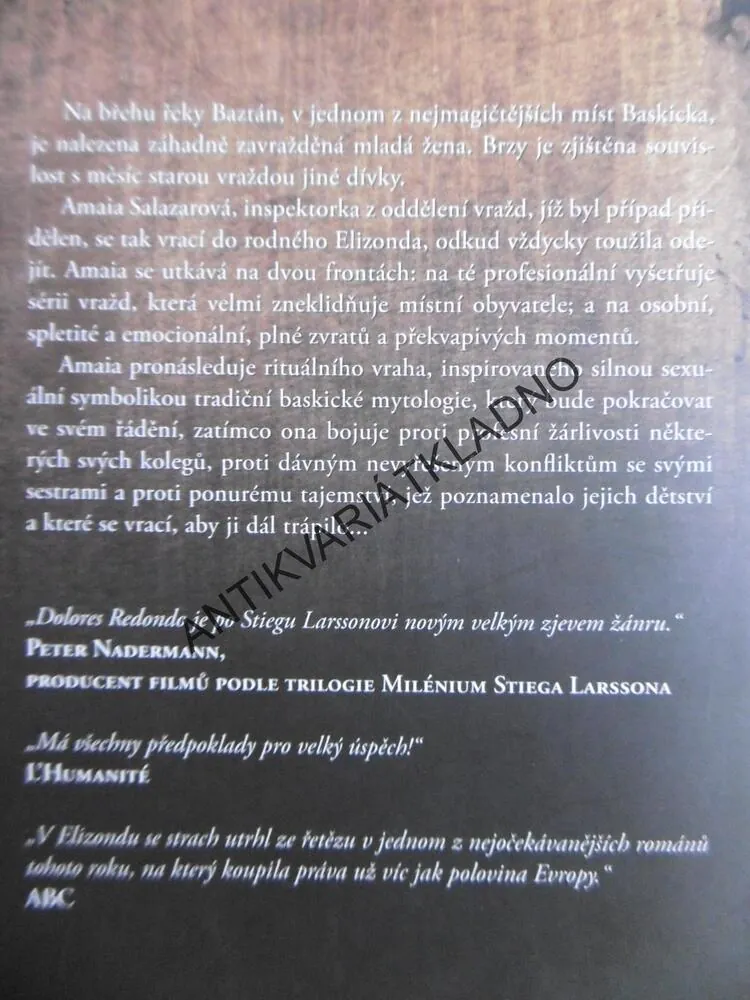NEVIDITELNÝ STRÁŽCE, DOLORES REDONDO, **an