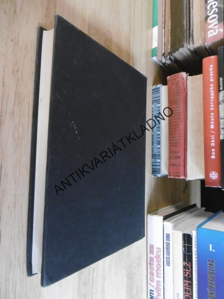 MEIN KAMPF: ADOLF HITLER DRUHÁ KNIHA OČIMA DNEŠKA, NEPUBLIKOVANÉ POKRAČOVÁNÍ, ČESKY, MŮJ BOJ , VÁLKA, 2004