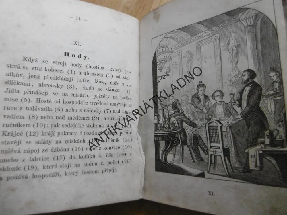 ZLATÉ LÍSTKY, DÁREK ÚTLOVĚKÝM DÍVKÁM DO ZLATÉ KNIHY, JANOTA, 1864