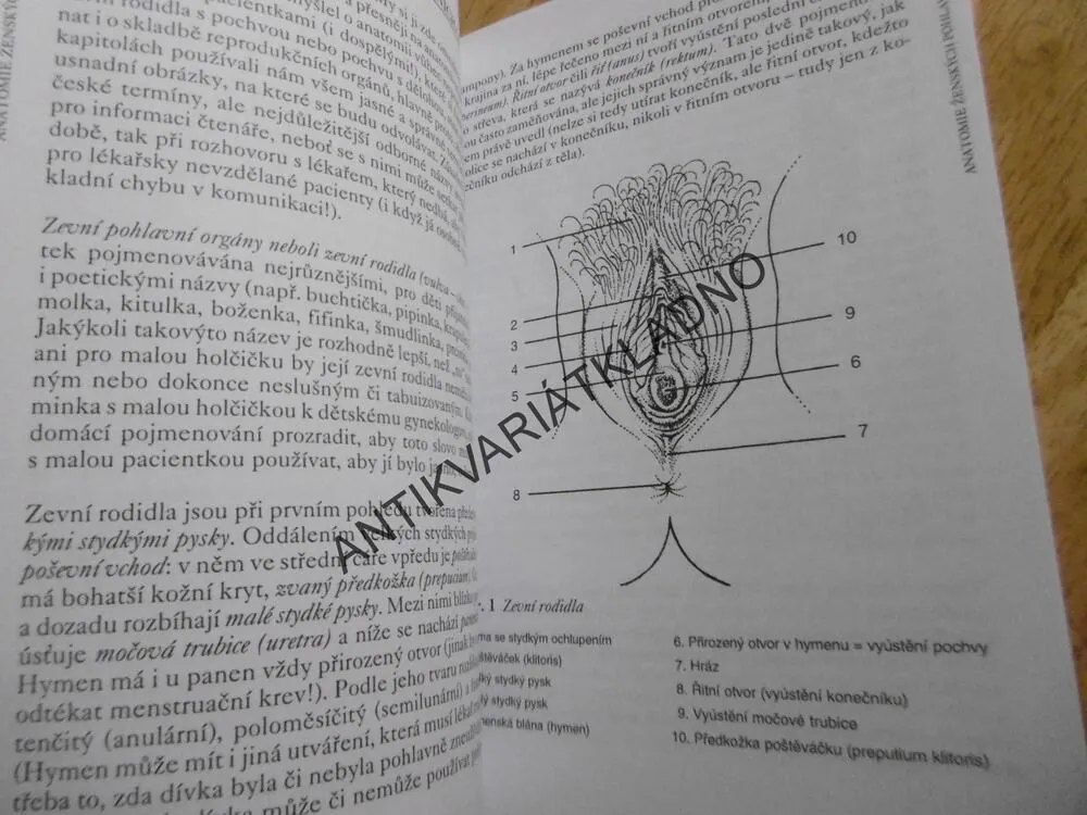 GYNEKOLOGICKÉ PROBLÉMY U DĚVČÁTEK A DOSPÍVAJÍCÍCH DÍVEK, JAN HOŘEJŠÍ, DOSPÍVÁNÍ, KNIHA PRO RODIČE, **an