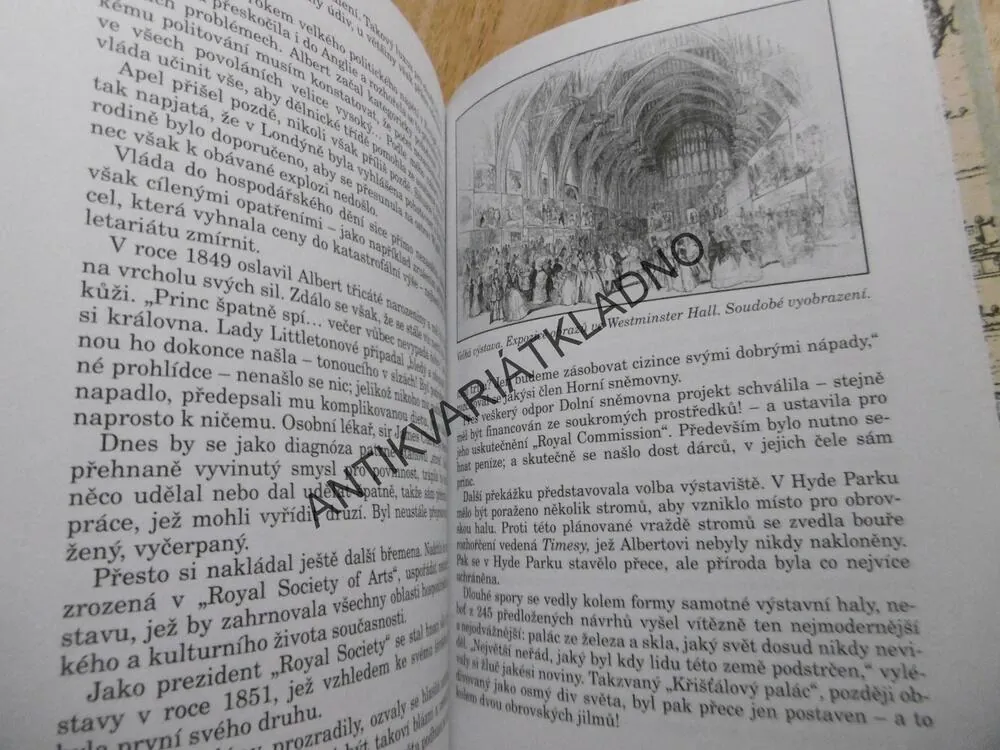 MUŽI VE STÍNU, THEA LEITNEROVÁ, **an