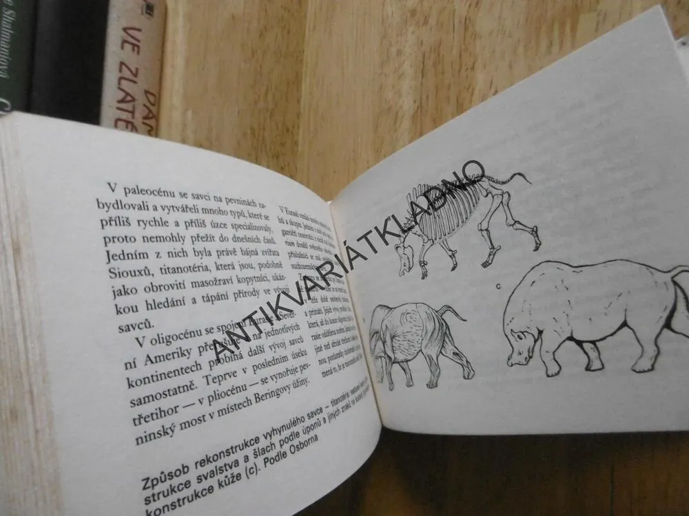 OKO 54 - OD TRILOBITA K ČLOVĚKU, FEJFAR, **an