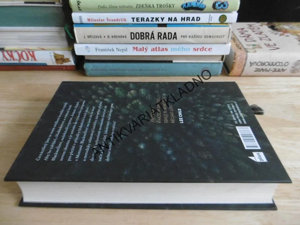 KDO MI JDE PO KRKU, MICHAEL KORYTA, **an