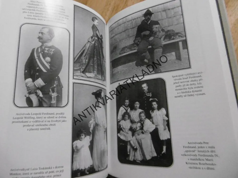 LÁSKY A SŇATKY HABSBURKŮ, G. PRASCHL-BICHLEROVÁ, **an