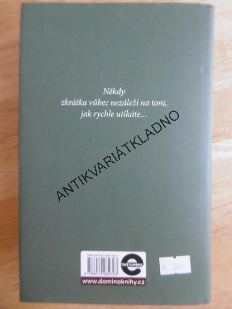ČEKÁNÍ NA SMRT, LISA JACKSON,