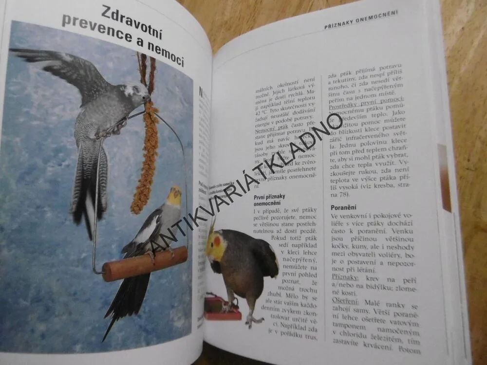 NAŠE KORELA, JAK CHOVAT, KRMIT, SPRÁVNĚ ROZUMĚT. THOMAS HAUPT, **an