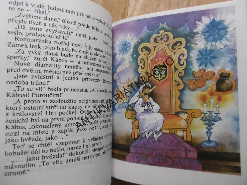 PRINCEZNA ROZMARÝNKA, MARKÉTA ZINNEROVÁ, JOLANTA LYSKOVÁ, 1984, **an