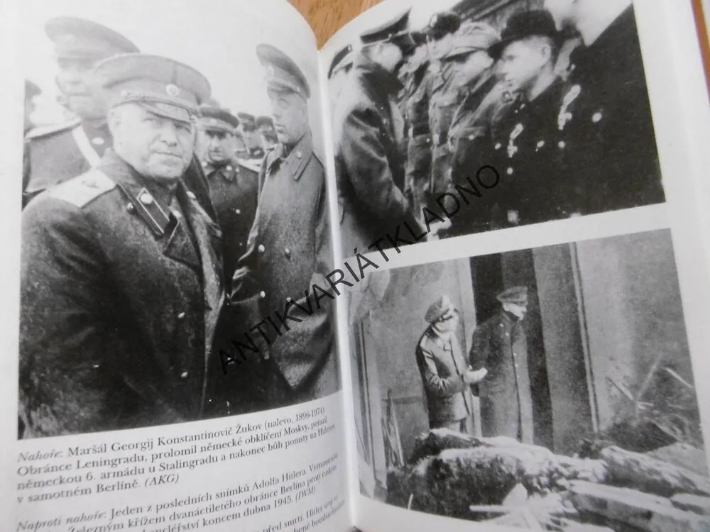 DVOJNÍCI, PRAVDA O TĚLECH V BERLÍNSKÉM BUNKRU, HITLER, HUGH THOMAS, **an