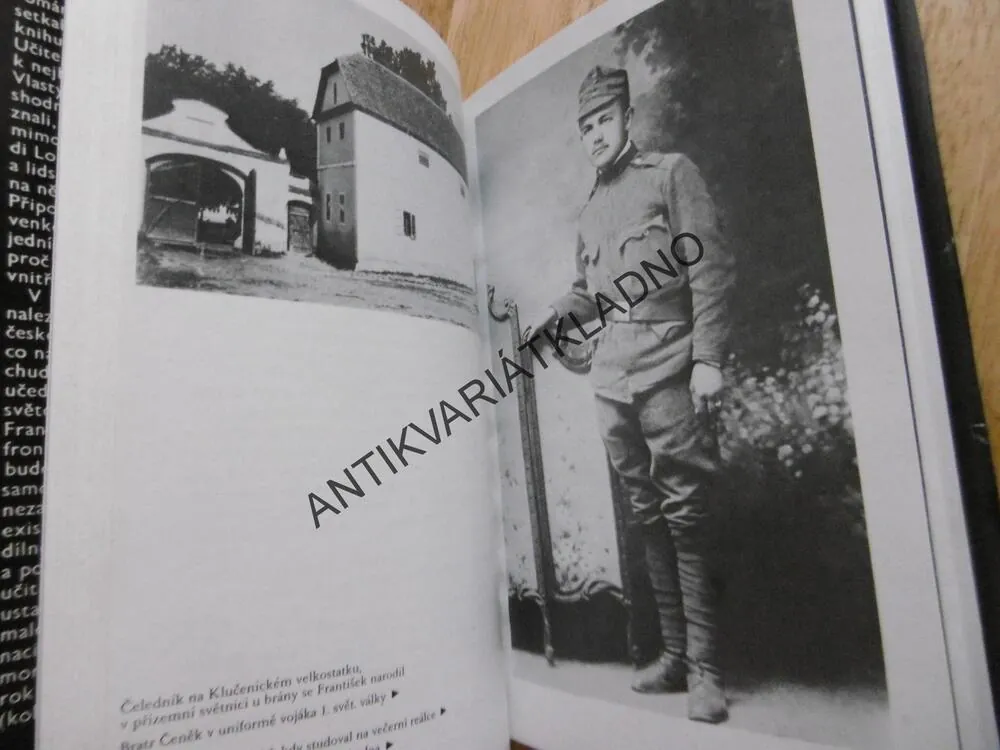 OSUD JEDNOHO ČECHA,ILONA BORSKÁ, 1984,**an