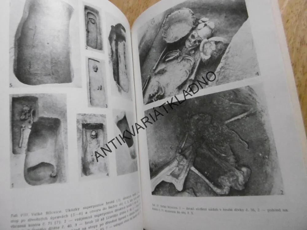 VELKOMORAVSKÉ KOSTROVÉ POHŘEBIŠTĚ VE VELKÝCH BÍLOVICÍCH, 1985