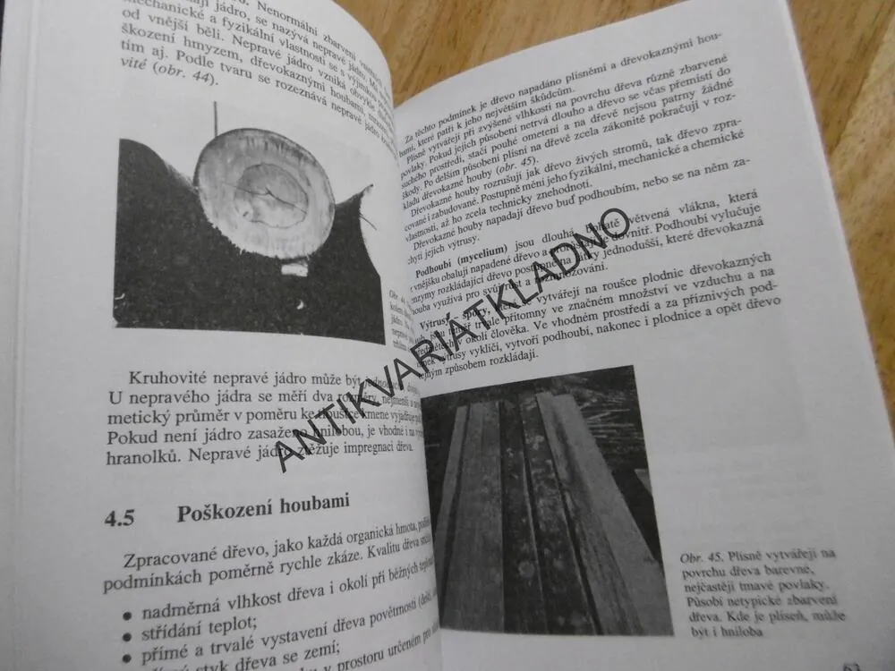 MATERIÁLY PRO 1 ROČ. SOU OBORŮ, ZPRACOVÁNÍ DŘEVA A VÝROBA HUDEBNÍCH NÁSTROJŮ, J. ŽÁK