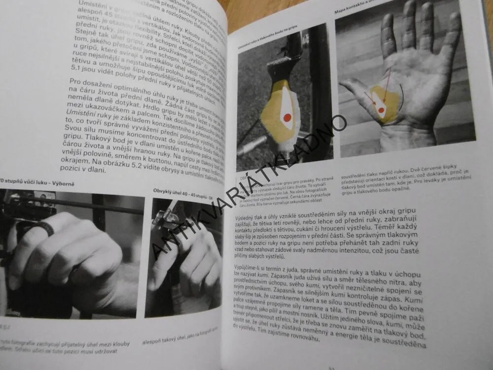V NITRU LUKOSTŘELCE,Z REFLEXNÍHO LUKU, KISIK LEE, BENNER, SPORTOVNÍ STŘELBA, ZBRANĚ,