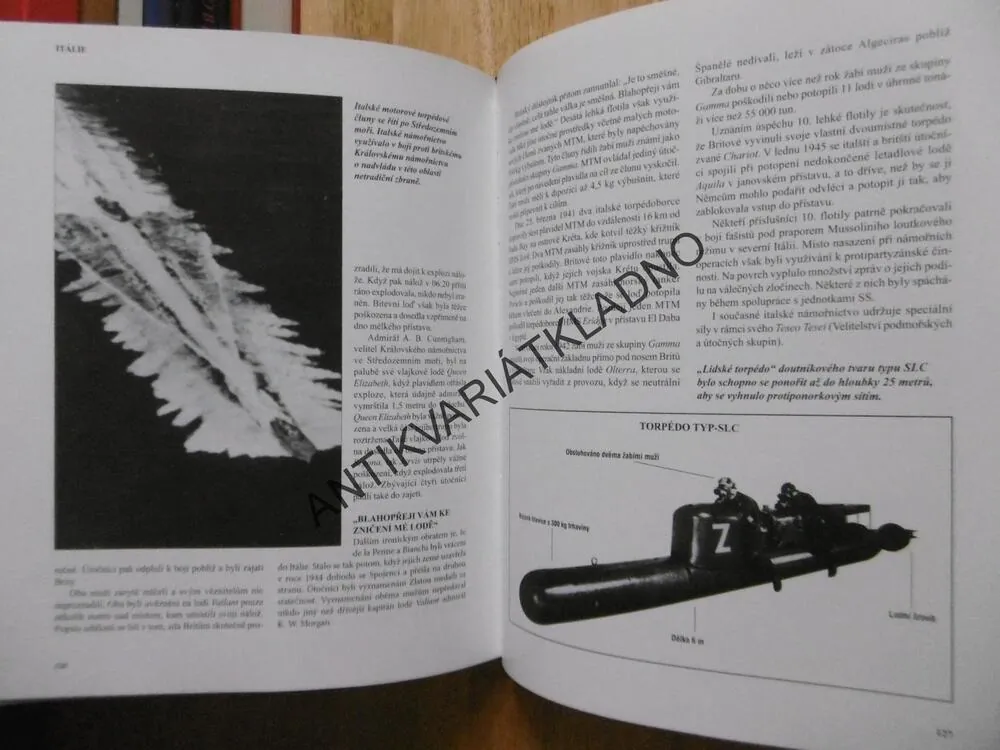 ENCYKLOPEDIE ELITNÍCH JEDNOTEK DRUHÉ SVĚTOVÉ VÁLKY, MICHAEL E. HASKEW, **an