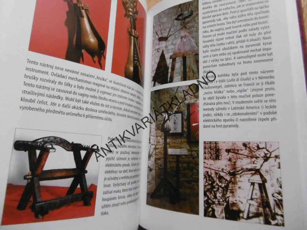 NEJKRUTĚJŠÍ METODY MUČENÍ V DĚJINÁCH, MARK P. DONNELLY, DANIEL DIEHL, **an