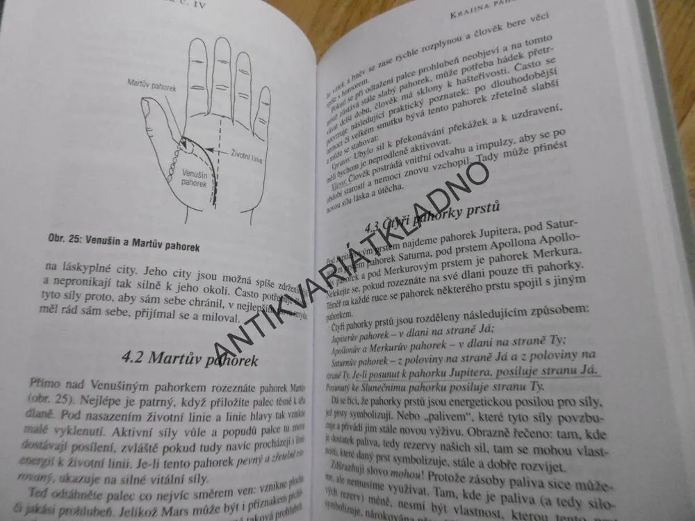 VÝKLAD Z RUKY, PRAKTICKÁ CVIČENÍ, CHRISTIANE EISLER-MERTZOVÁ,