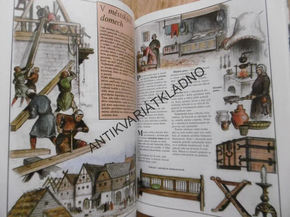 ČESKÉ ZEMĚ ZA POSLEDNÍCH PŘEMYSLOVCŮ,ZDENĚK BÍGL, **an