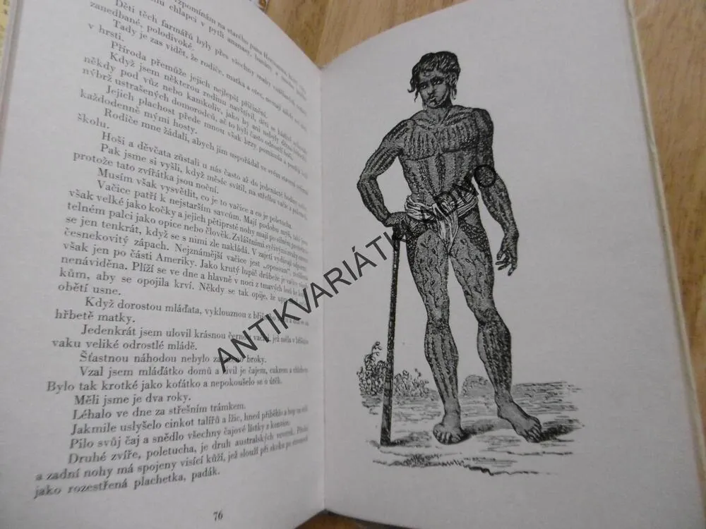 AUSTRALSKÁ DOBRODRUŽSTVÍ ALOISE TOPIČE, JAROMÍR JOHN, **an