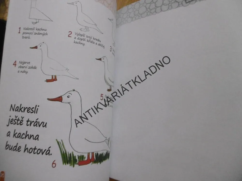 UČÍME SE KRESLIT NEJEN ZVÍŘÁTKA KROK ZA KROKEM,MALOVÁNÍ, KRESLENÍ,