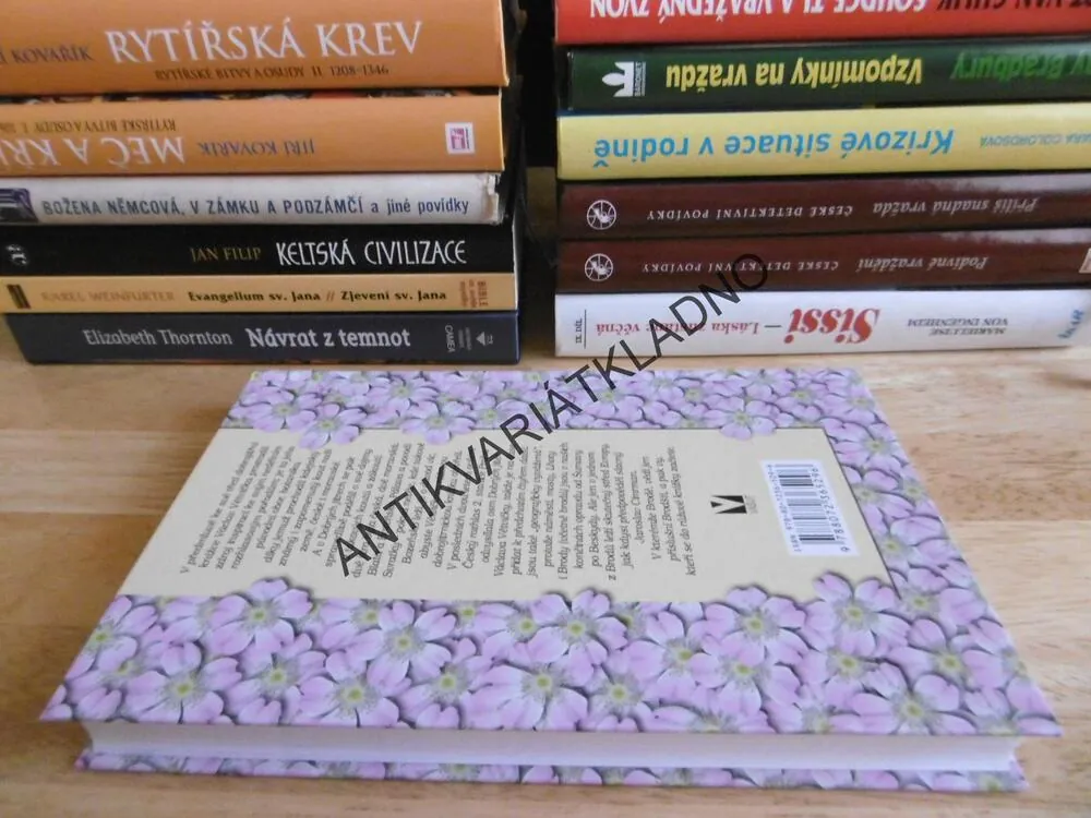 MOJE RŮŽOVÁ JITRA, VÁCLAV VĚTVIČKA, **an