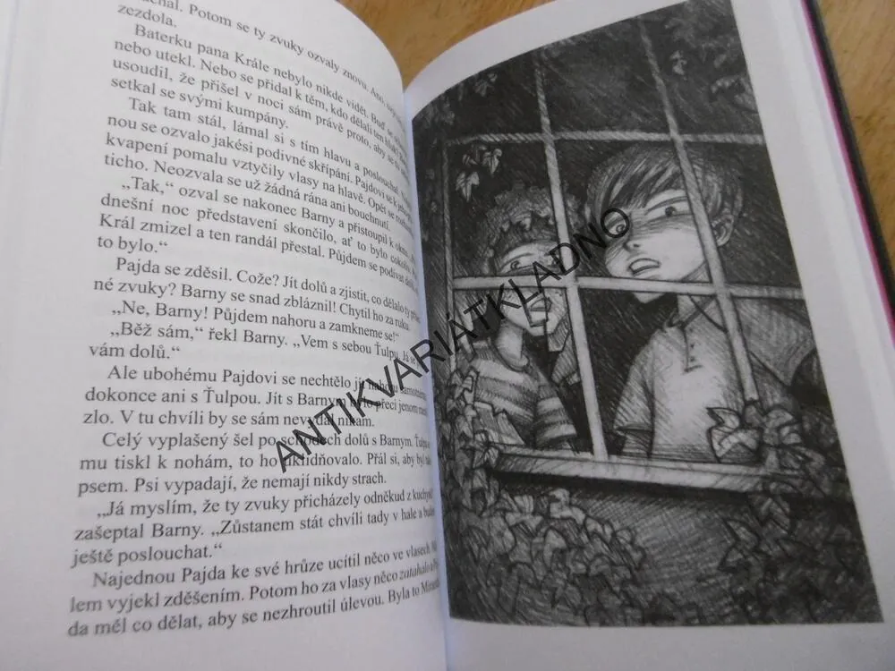 ZÁHADA PAVOUČÍHO DOMU, ENID BLYTONOVÁ, **an